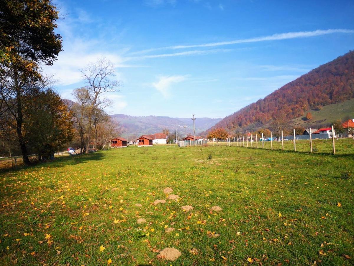 Casute Zavoi Bulz Exterior foto