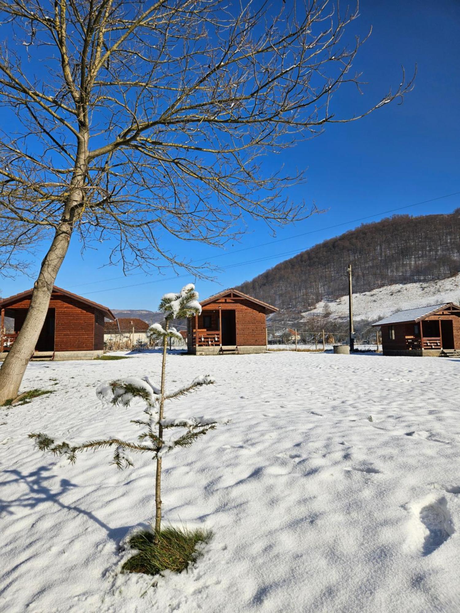 Casute Zavoi Bulz Exterior foto