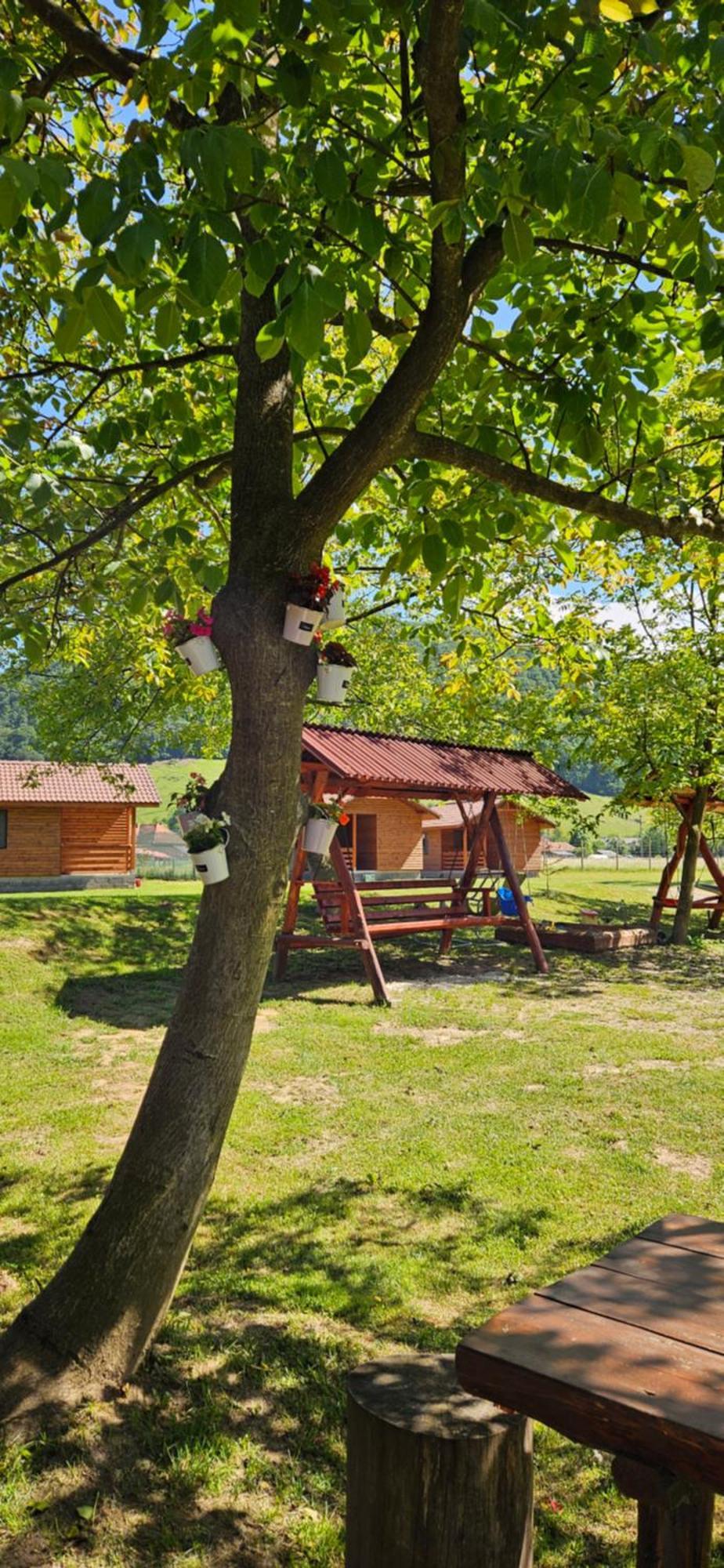 Casute Zavoi Bulz Exterior foto